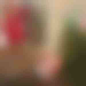 Santa s padákem | SANTASWING