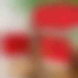 Vánoční potahy na kuchyňské židle (4ks) | SANTASEAT