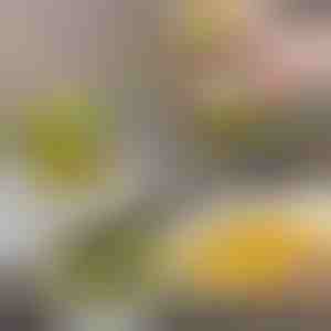 Čisticí kartáč s dávkovačem a stojanem | BRUSKICA