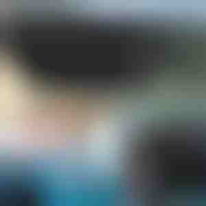 Slunečník na čelní sklo auta | SHADESHELLA