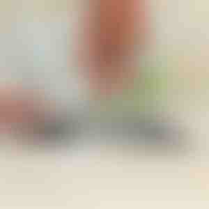 Univerzální ostřič pro zahradní nástroje a kuchyňské nože | SHARPNINJA