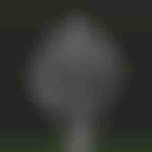 Zahradní kouzelný kinetický větrný mlýn | WINDARA