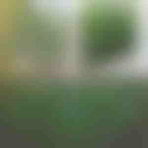 Dekorativní a praktický plot pro terasu a zahradu | GREENFENCE