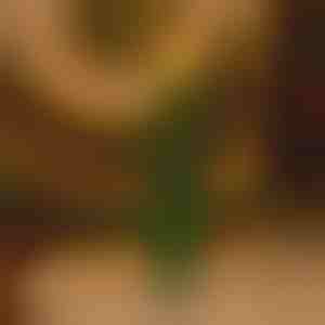 Bezplamenná blikající sváteční svíčka | CANDLETREE