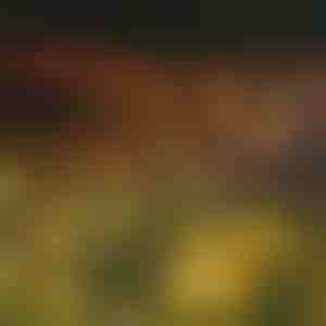 Zahradní solární svítidla (teplé světlo) | SOMPEX